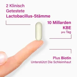 Lacto Intim Milchsäurebakterien + Biotin, 60 St