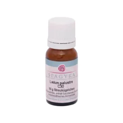 Ledum Palustre C 30 Globuli, 10 g