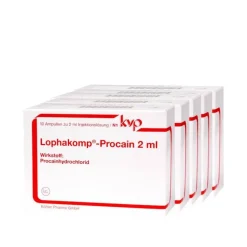 Lophakomp Procain 2 ml Injektionslösung, 50X2 ml