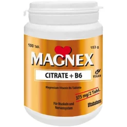 Magnex Citrate + B6 vegan laktosefrei zuckerfrei Tab, 100 St