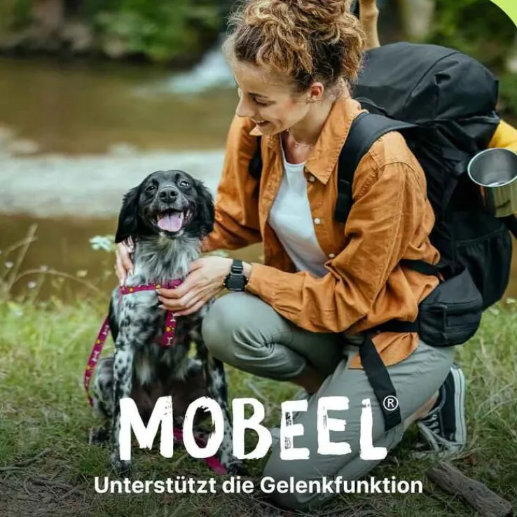 Mobeel Ergänzungsfuttermittel Pulver für Hunde / Katzen, 150 g