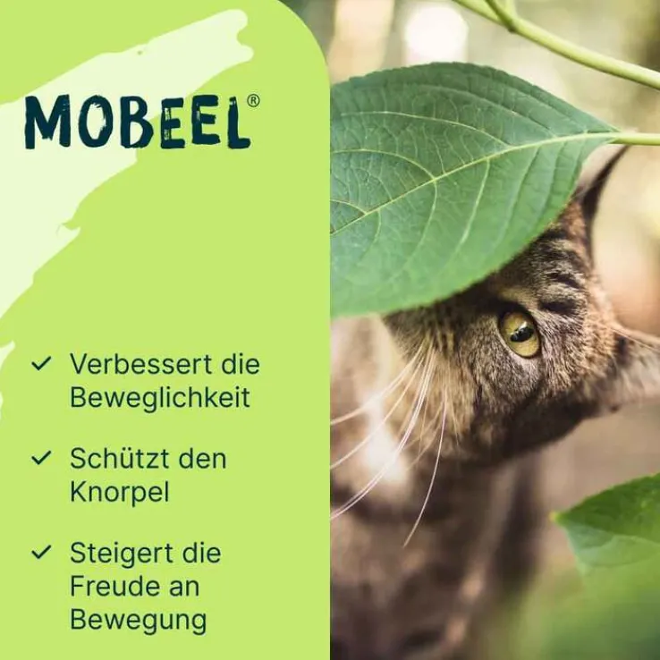 Mobeel Ergänzungsfuttermittel Pulver für Hunde / Katzen, 150 g