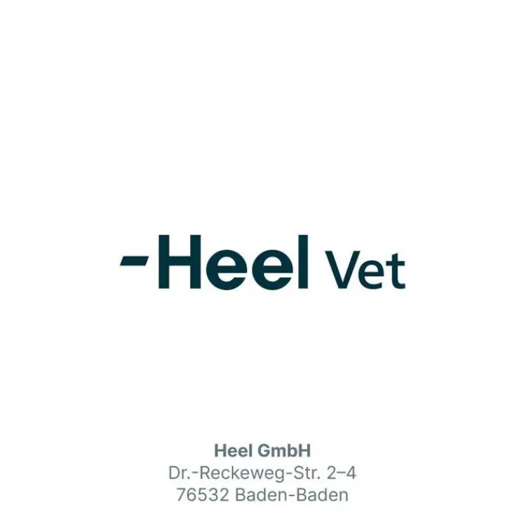 Mobeel Ergänzungsfuttermittel Pulver für Hunde / Katzen, 150 g