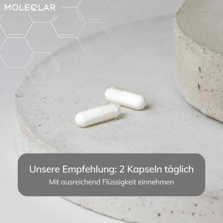 Moleqlar Longevity Qnesium Magnesium Complex Kapseln , 120 St