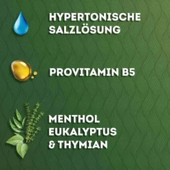 Nasivin Natura Nasenspray, 20 ml