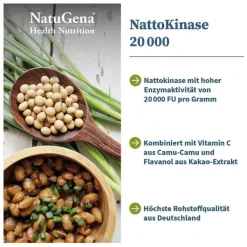 Nattokinase 20.000 + Vitamin C vegan Kapseln, 120 St
