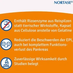 NORTASE Kapseln vegetarische Verdauungsenzyme, 100 St