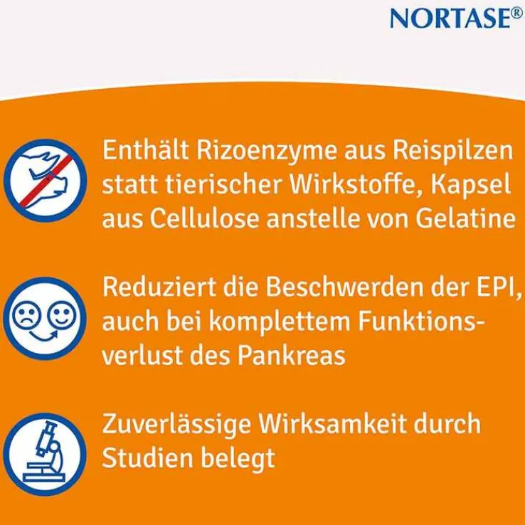 NORTASE Kapseln vegetarische Verdauungsenzyme, 100 St