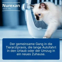 Nurexan ad us. vet. Tabletten , 500 St