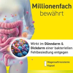 OMNIFLORA N Probiotika Kapseln für die Darmflora, 100 St