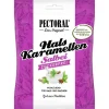 Pectoral Salbei Bonbons zuck, 60 g