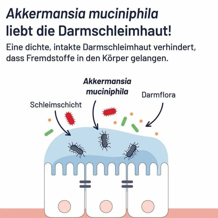 Probio-Cult AKK1 Akkermansia Syxyl Tabletten, 30 St