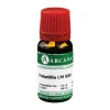 Pulsatilla Arcana LM 30 Dilution, 10 ml