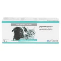 Reconvales Power Vitaminpaste für Hunde / Katzen, 1X70 g