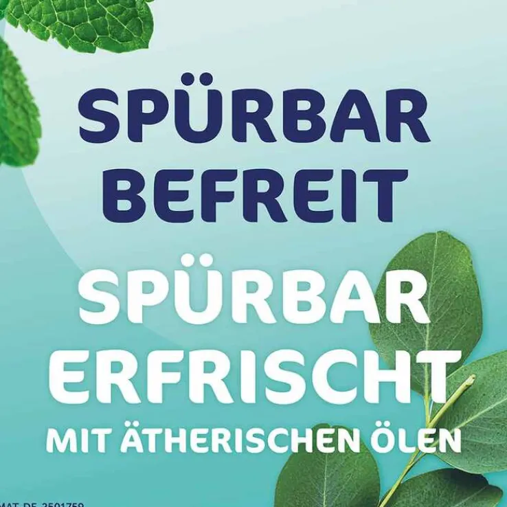 Rhinospray Plus Nasenspray, 10 ml