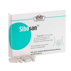 Sibosan Kapseln, 60 St