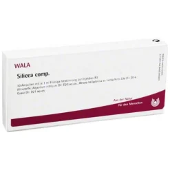 Silicea comp. Ampullen, 10X1 ml