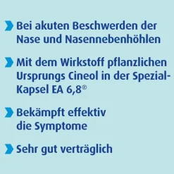 SINOLPAN® FORTE 200 mg Weichkapseln, 21 St