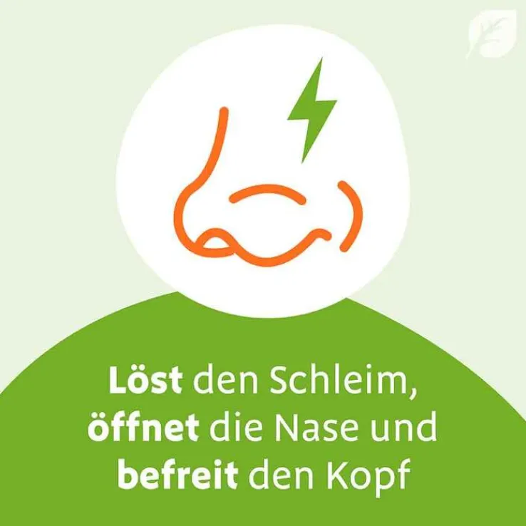 Sinupret Saft, 100 ml