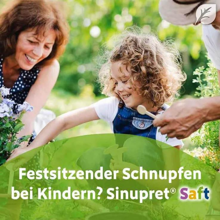 Sinupret Saft, 100 ml