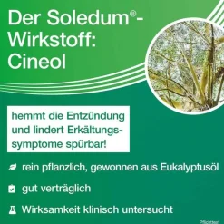 Soledum Kapseln, 100 St