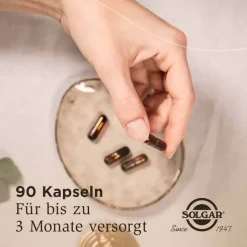 Solgar Vollspektrum Curcumin Kapseln, 90 St