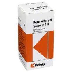 Synergon 111 Hepar sulfuricum N Tabletten, 100 St