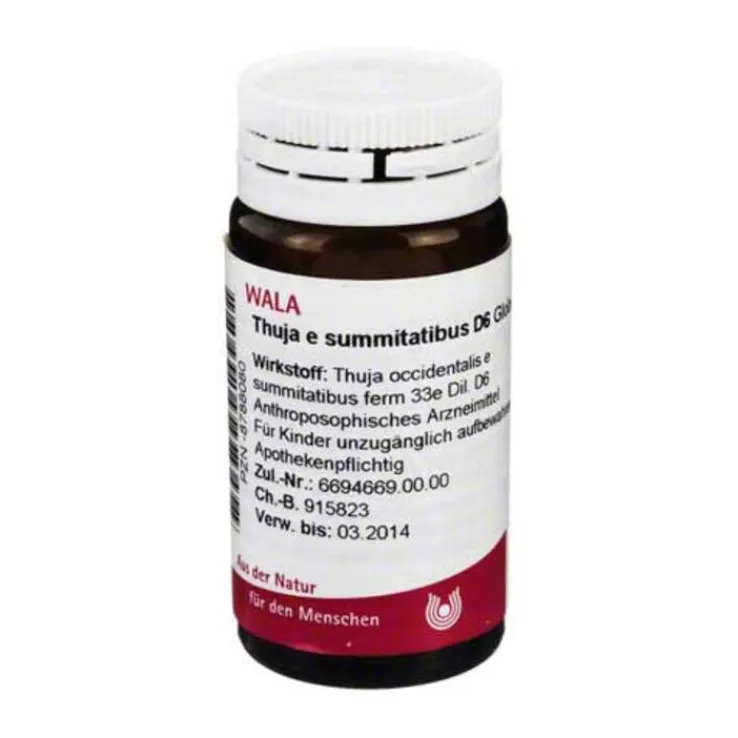 Thuja E SUMMIT. D 6 Globuli, 20 g