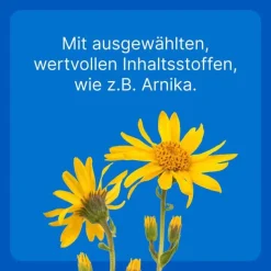 Traumeel LT ad us.vet.Tabletten, 250 St