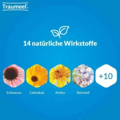 Traumeel® S Creme, 50 g