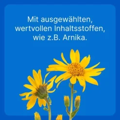 Traumeel T ad us. vet. Tabletten für Hund und Katze, 500 St