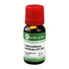Tuberculinum Bovinum Arcana LM 30 Dilution, 10 ml