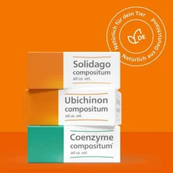 Ubichinon compositum ad us. vet. Ampullen, 10 St