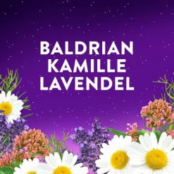 WICK Zzzquil Gute Nacht Intens, 60 St