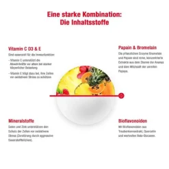 Wobenzym immun Tabletten, 240 St