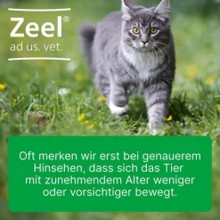 Zeel® ad us. vet. Tabletten, 100 St