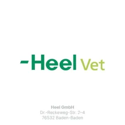 Zeel® LT ad us. vet. Tabletten, 100 St
