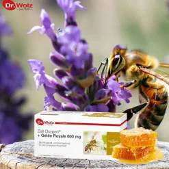 Zell Oxygen + Gelee Royale 600 mg Trinkampullen, 14X20 ml