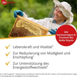 Zell Oxygen + Gelee Royale 600 mg Trinkampullen, 14X20 ml